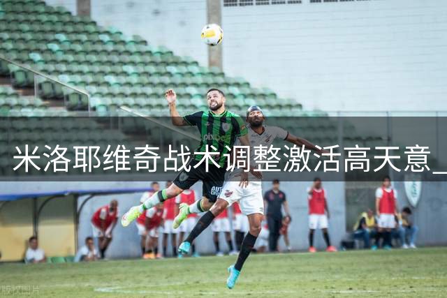 米洛耶维奇战术调整激活高天意 申花进攻端焕发新生
